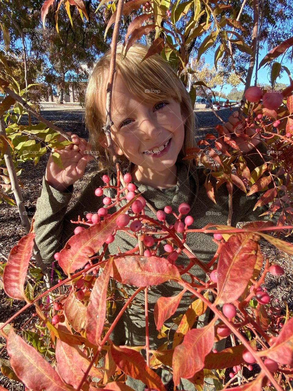 Pretty girl hiding in red fall leaves