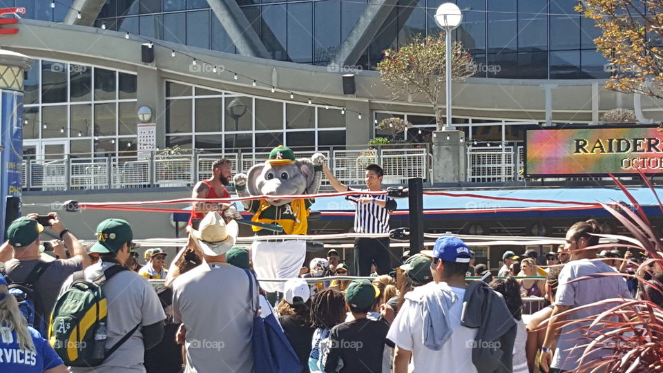 Oakland Coliseum Complex in Oakland