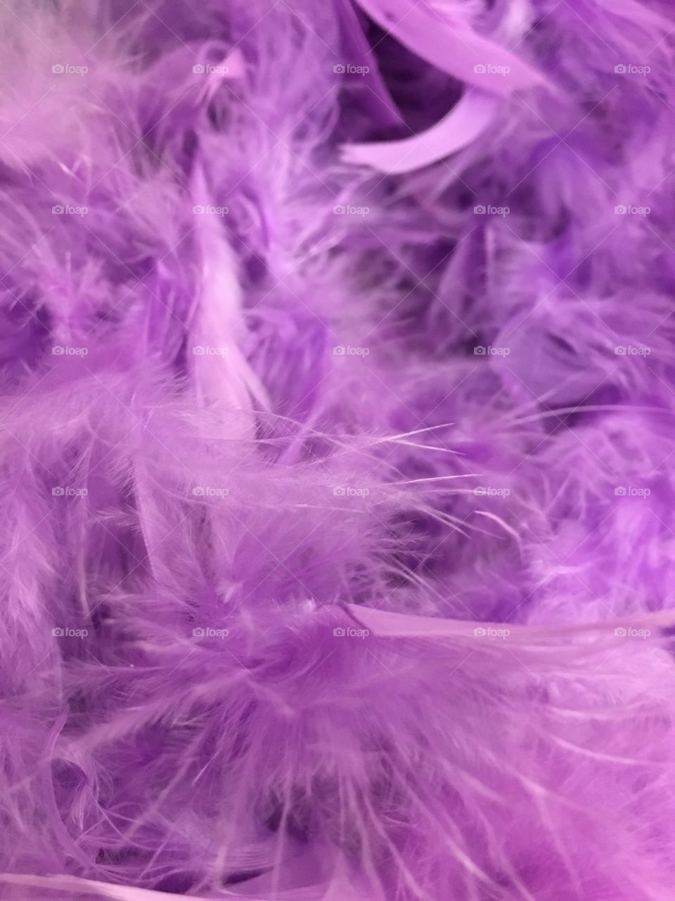 Purple feather boa