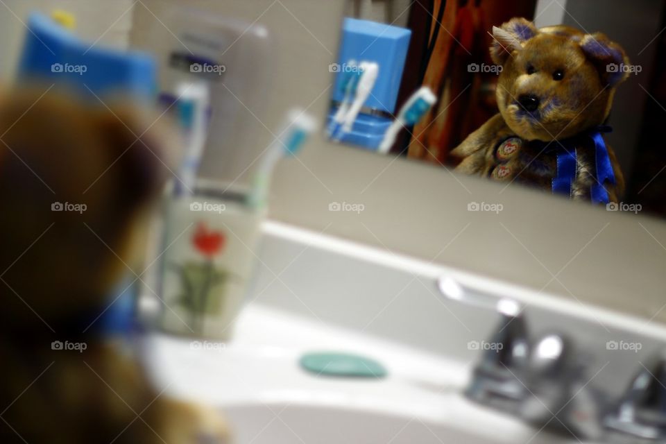 TEDDY BEAR LOOKS IN THE MIRROR