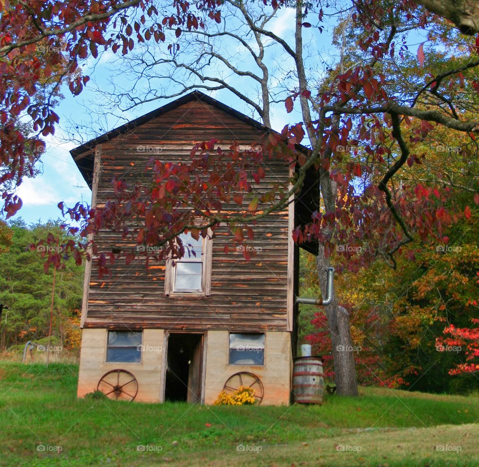 Country Fall Feel 