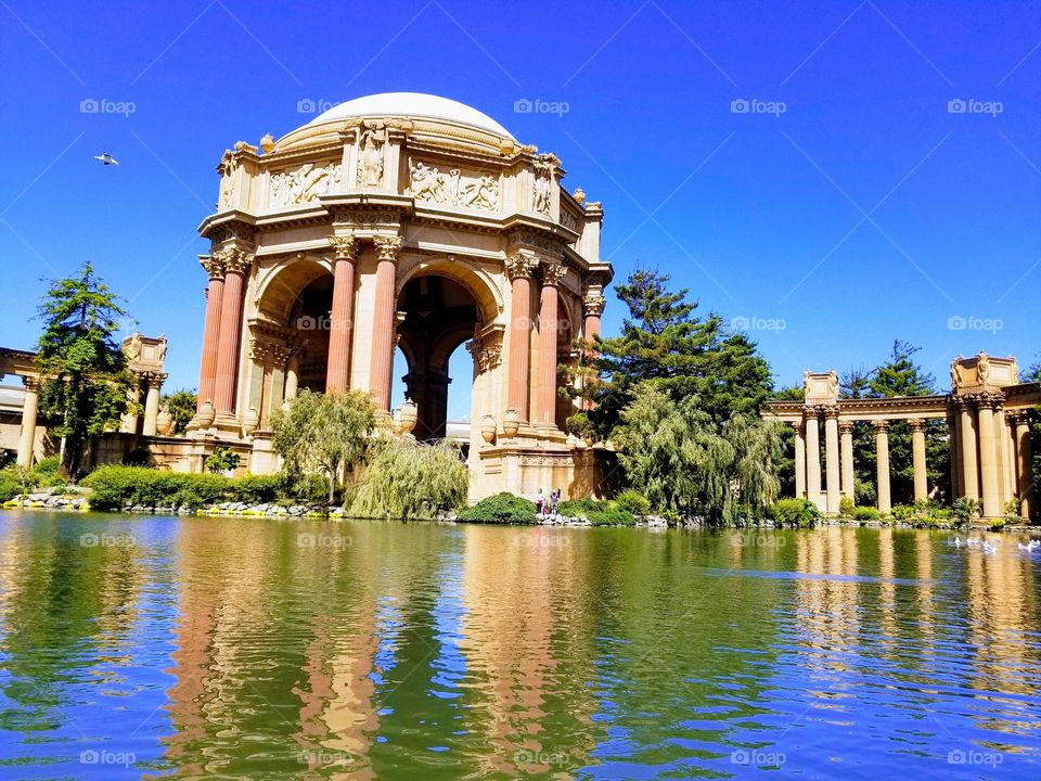 Palace of Fine Arts in San Francisco

Incredibly beautiful place!!
Tranquil, peaceful setting to enjoy the views and architecture.