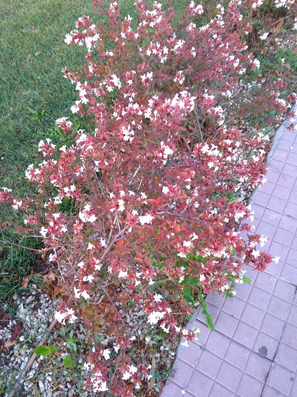 Best of 2021: Nature