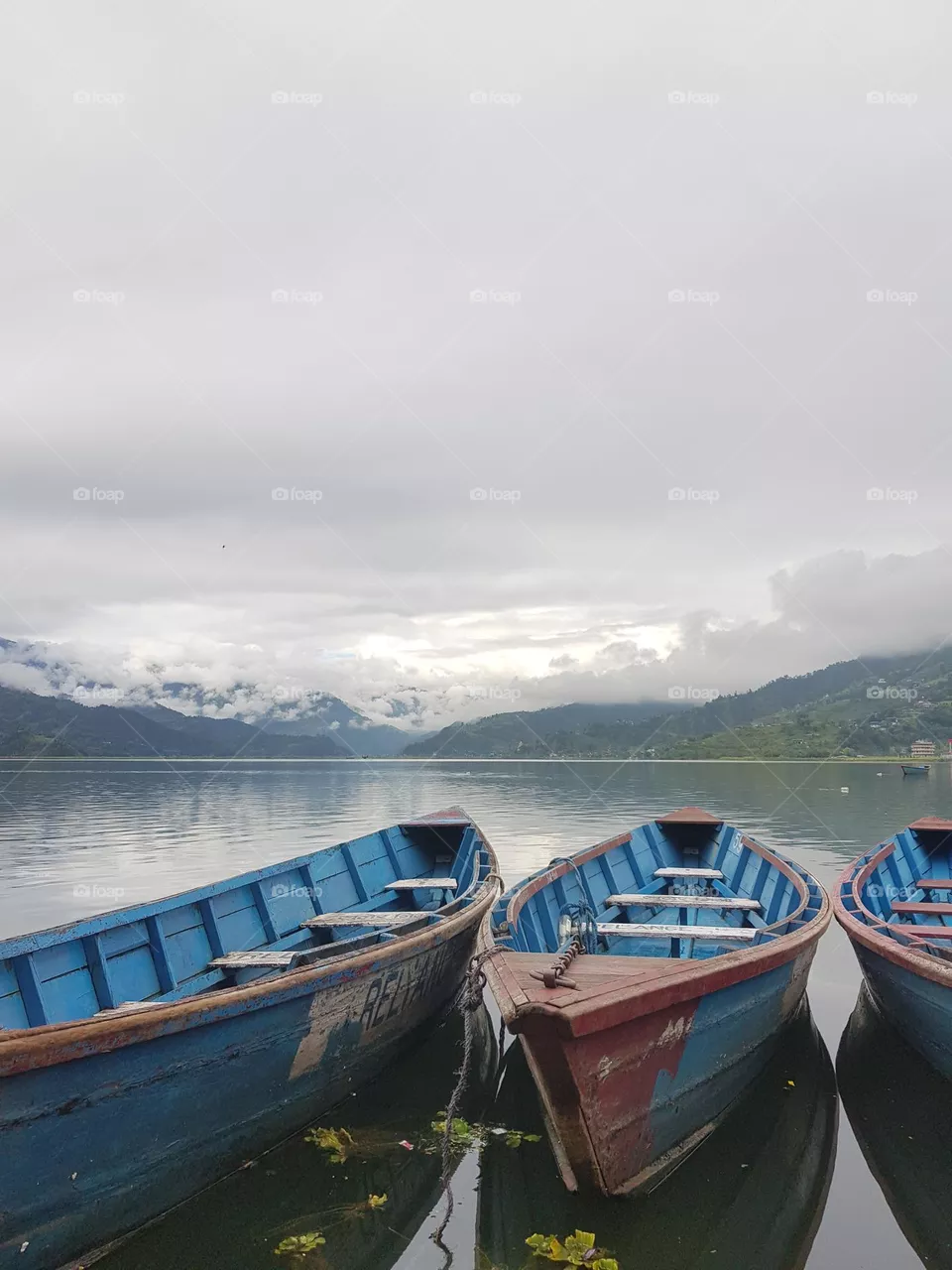 Boats and nature