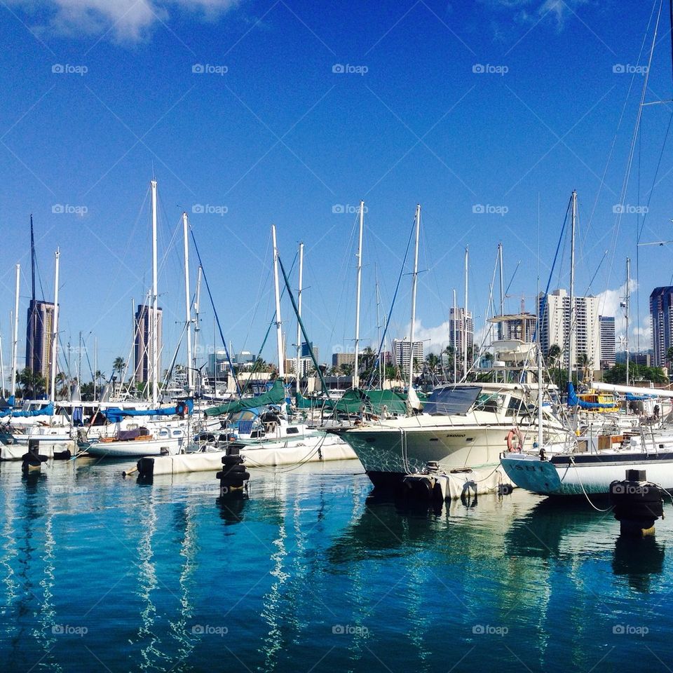 The Yacht Harbor