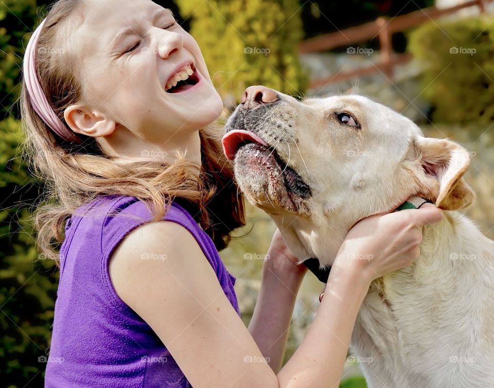 Labrador retriever dog kissing smiling and laughing girl