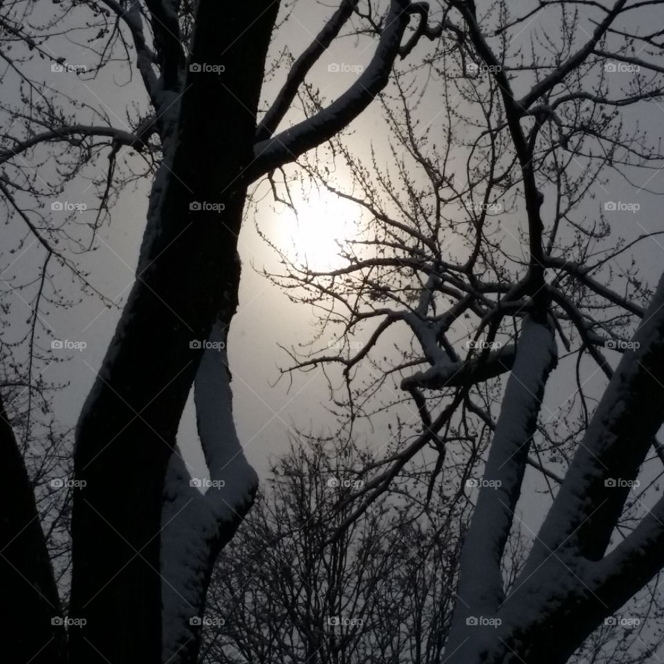 sun snow winter Québec