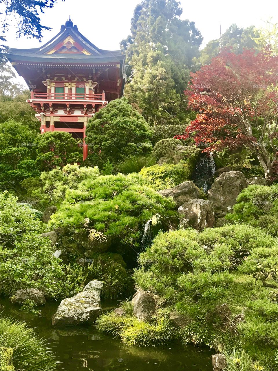 Japanese Friendship Garden