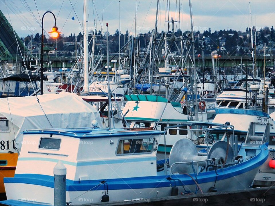 Boats Galore