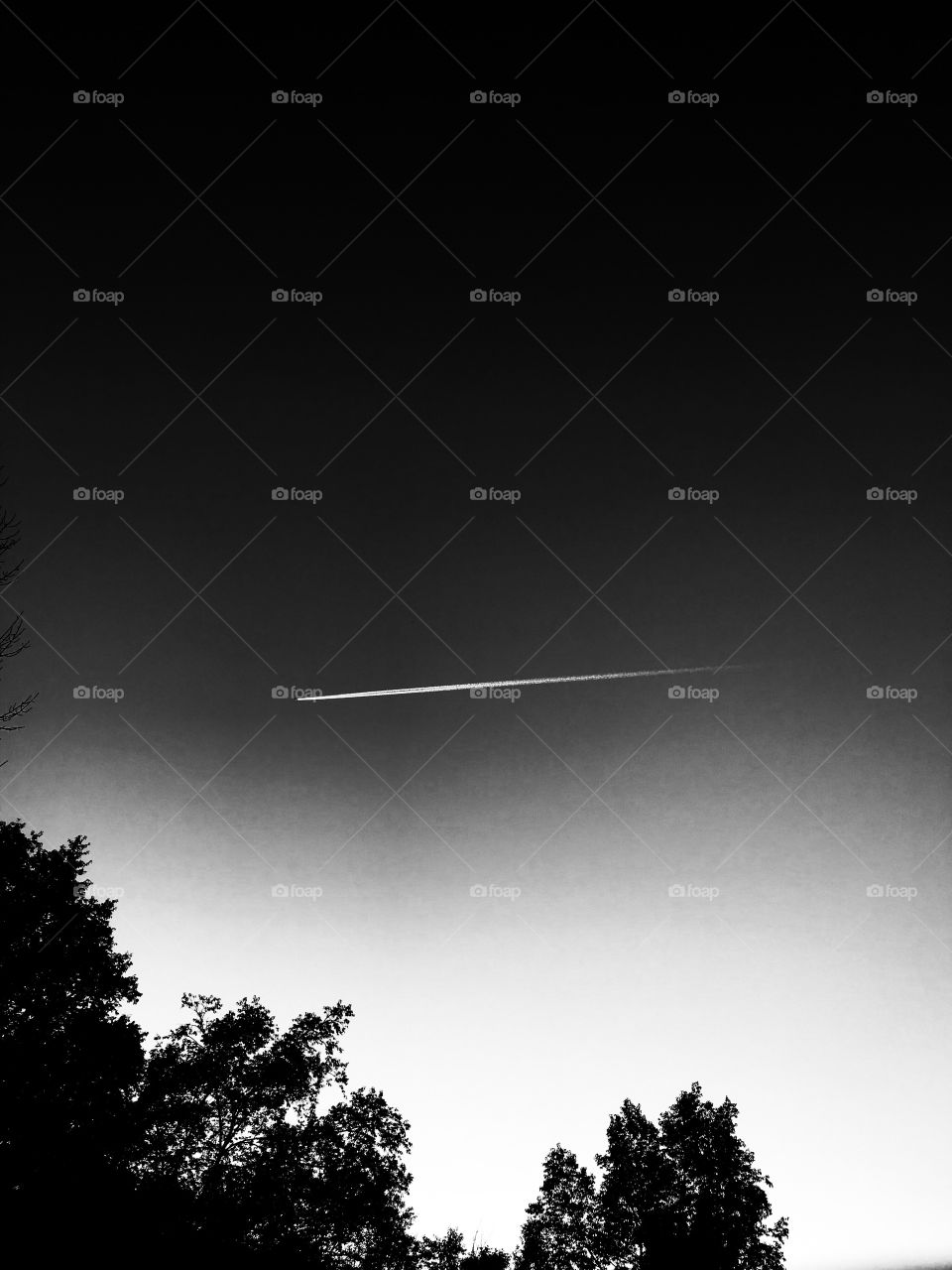 In the shadows - a place many are afraid to be, but the one place to see the big picture in life with no distractions. 