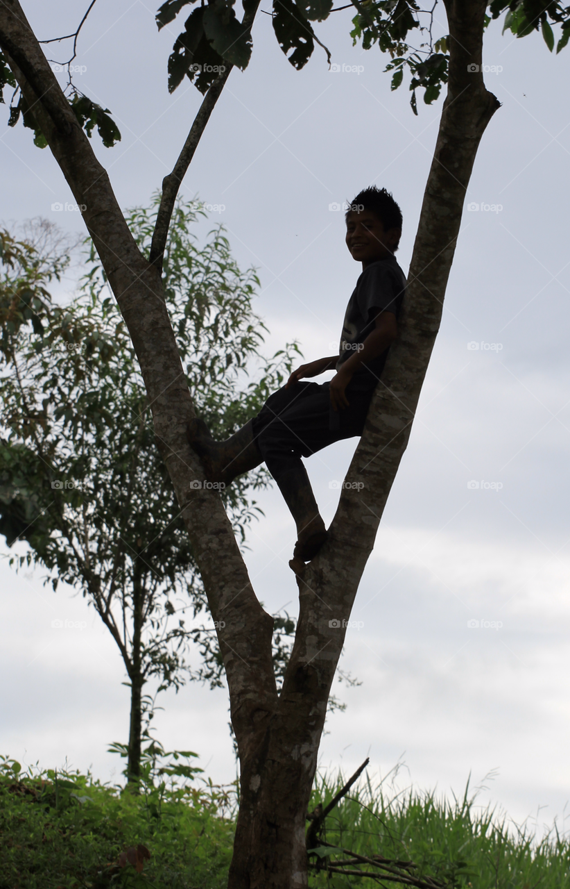 Boy in a tree. While on a mission trip in a native village in Costa Rica this boy was resting in a tree 