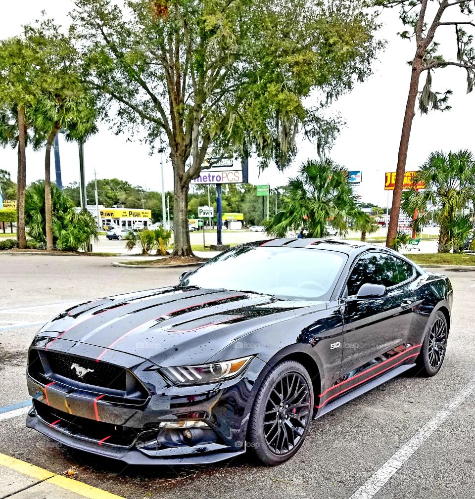 Automobile Ford sport Mustang