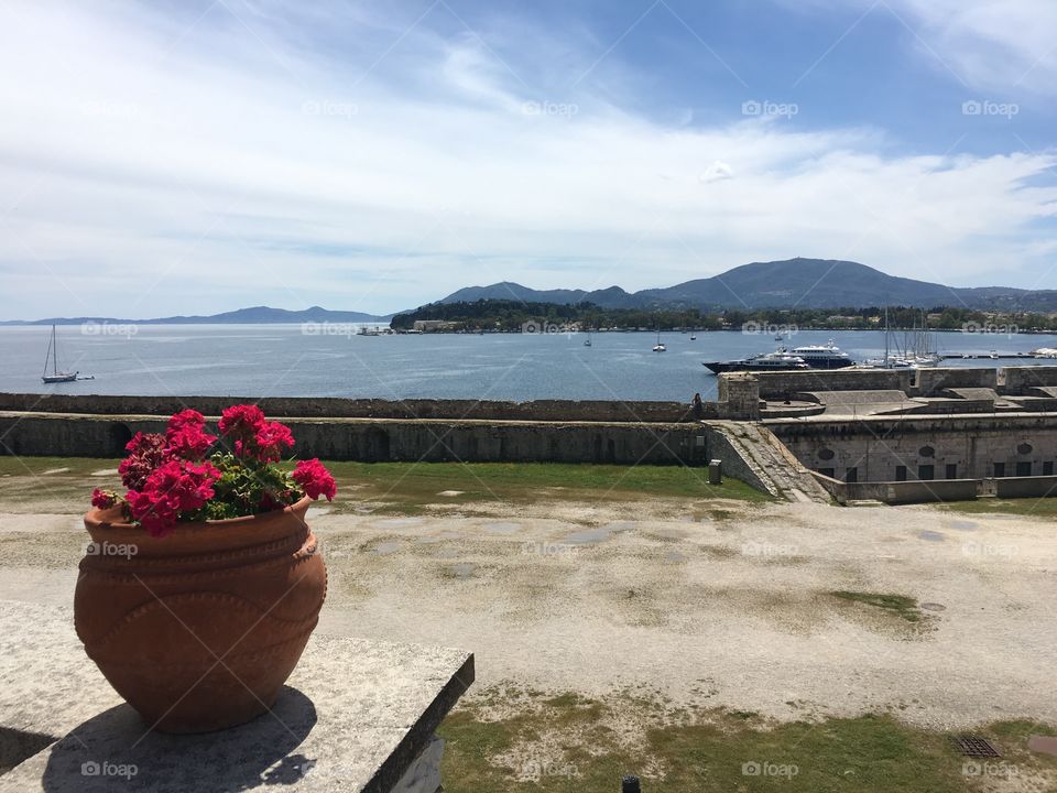 Potted flowers looking out to Corfu Town, Greece