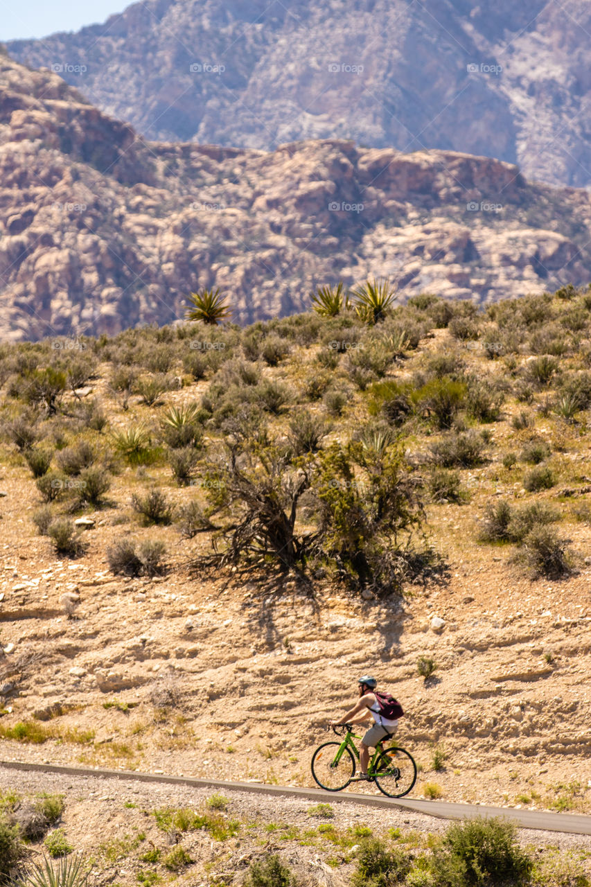 A cyclist riding up a steep mountain road in the desert. 