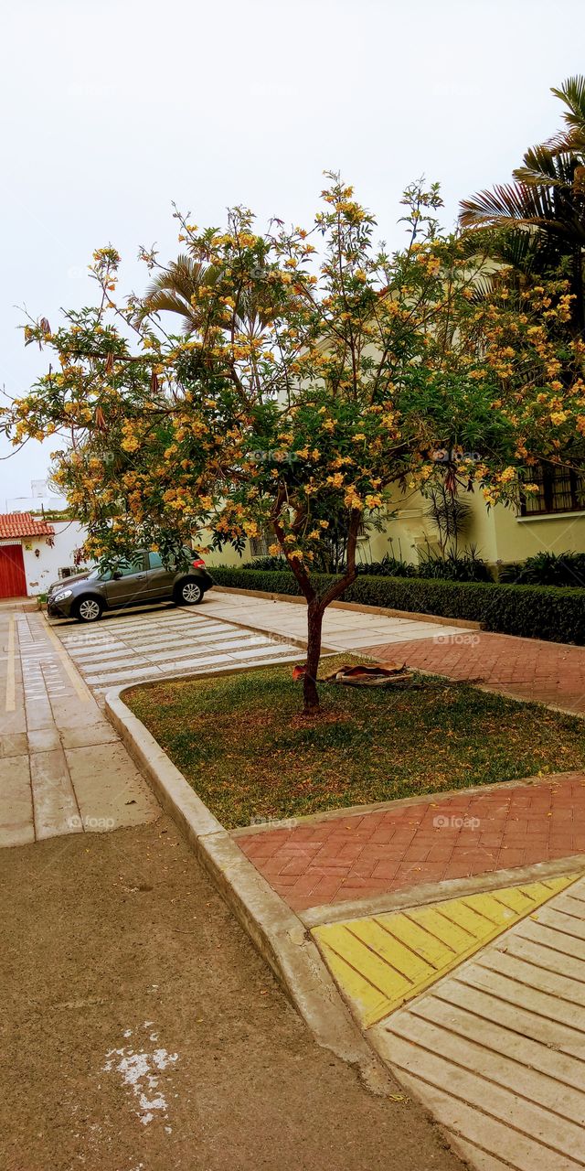 Singular and beautiful