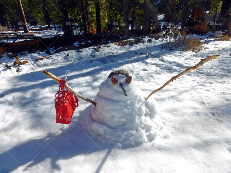 Snowman with a red bag