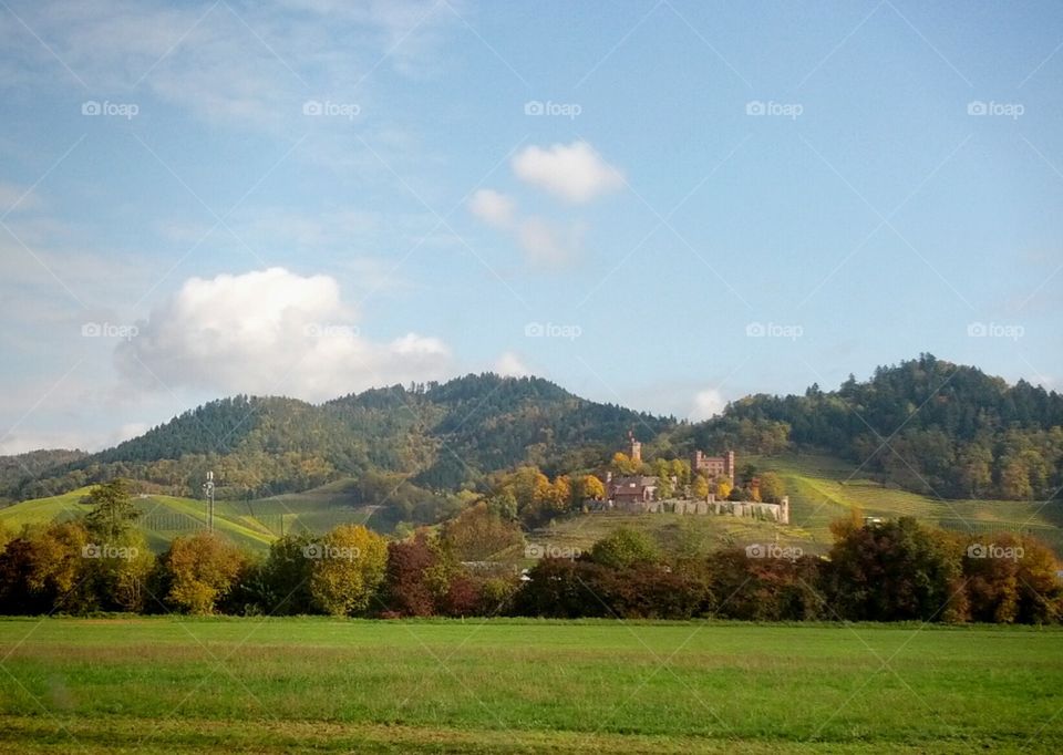 Landscape, Nature, Tree, No Person, Sky