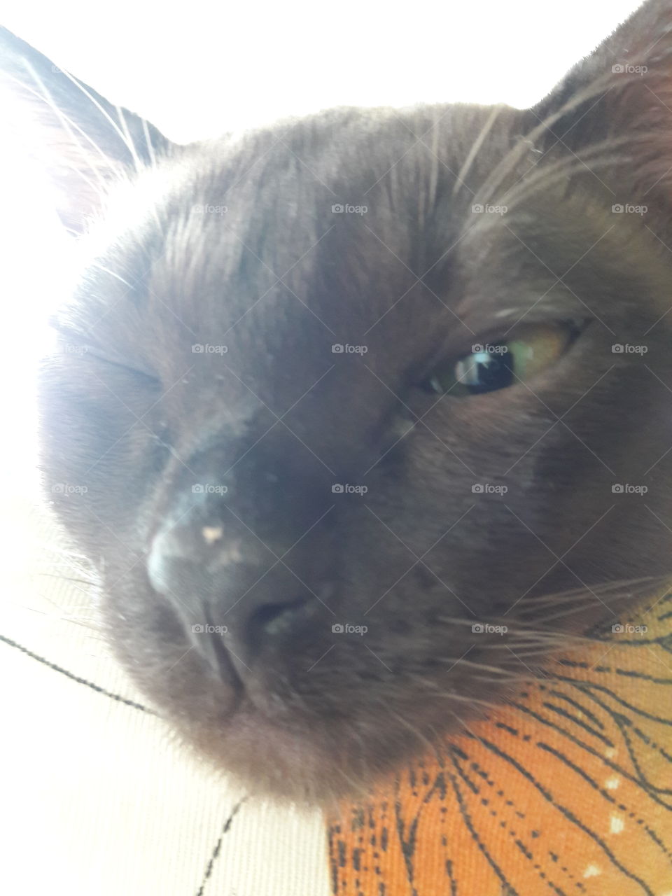 perfect imperfection