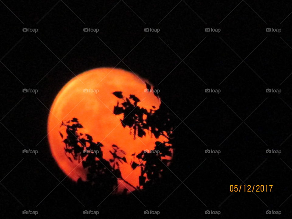 Orange full moon