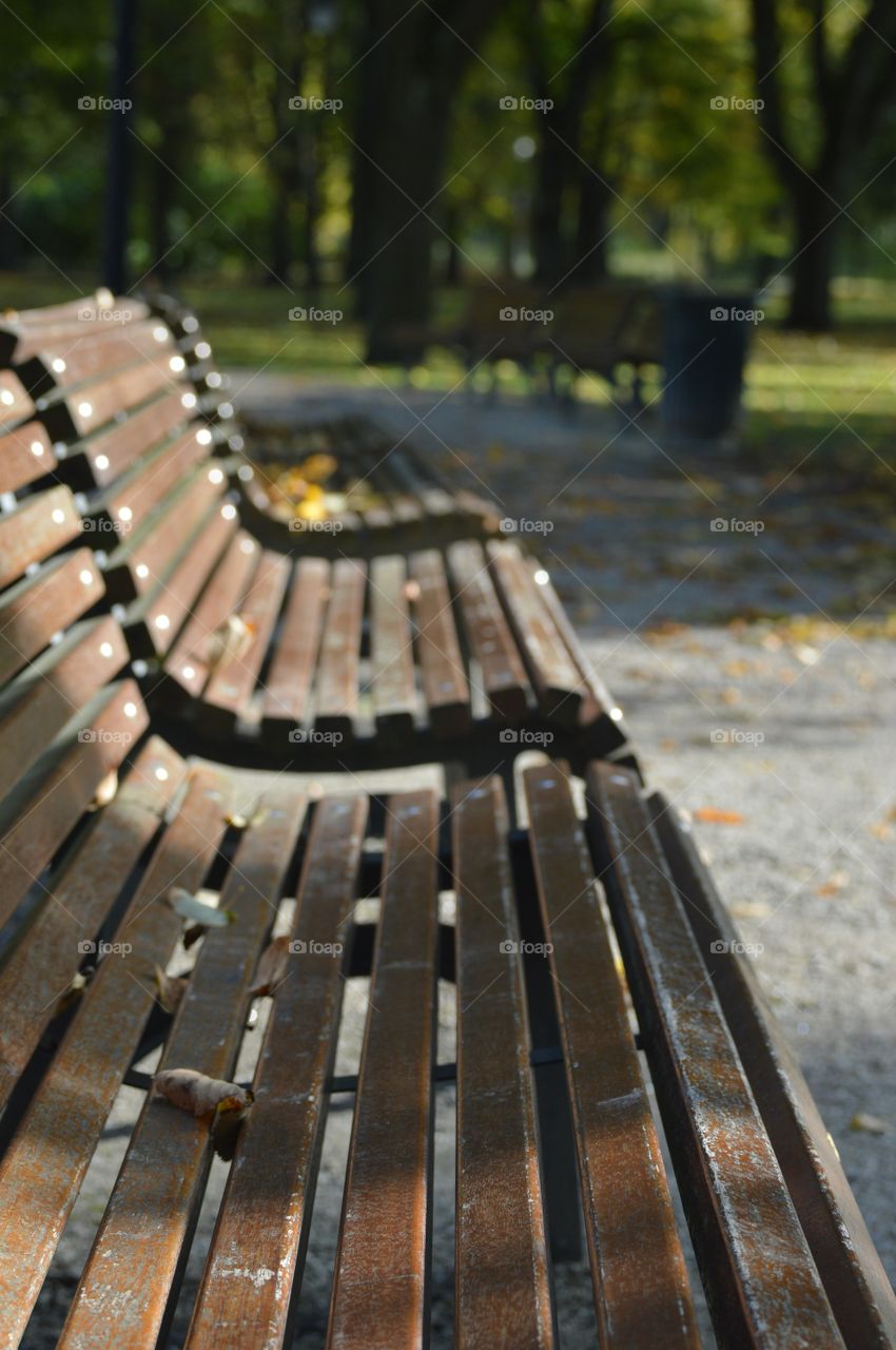 Seats at park