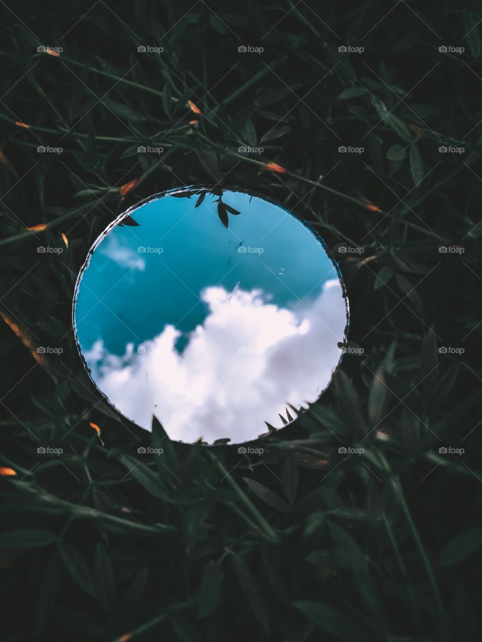 Every time I look at the sky, `` it's full of nostalgia ''