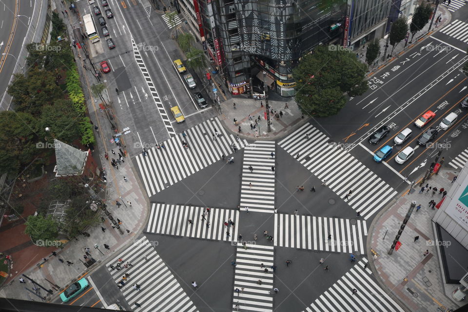 Road, Traffic, Transportation System, City, Street