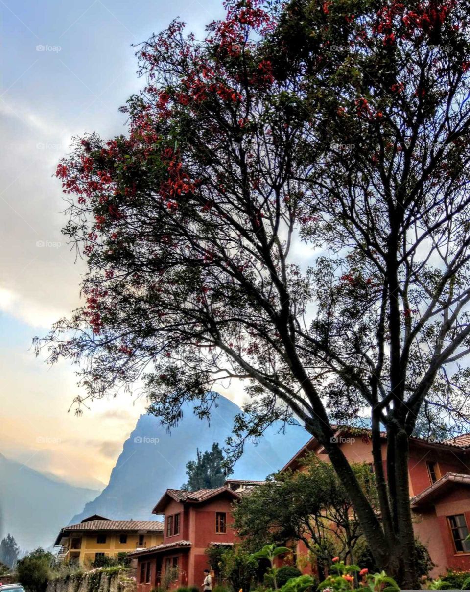 At dawn, in a Peru's resort.
a beautiful landscape.