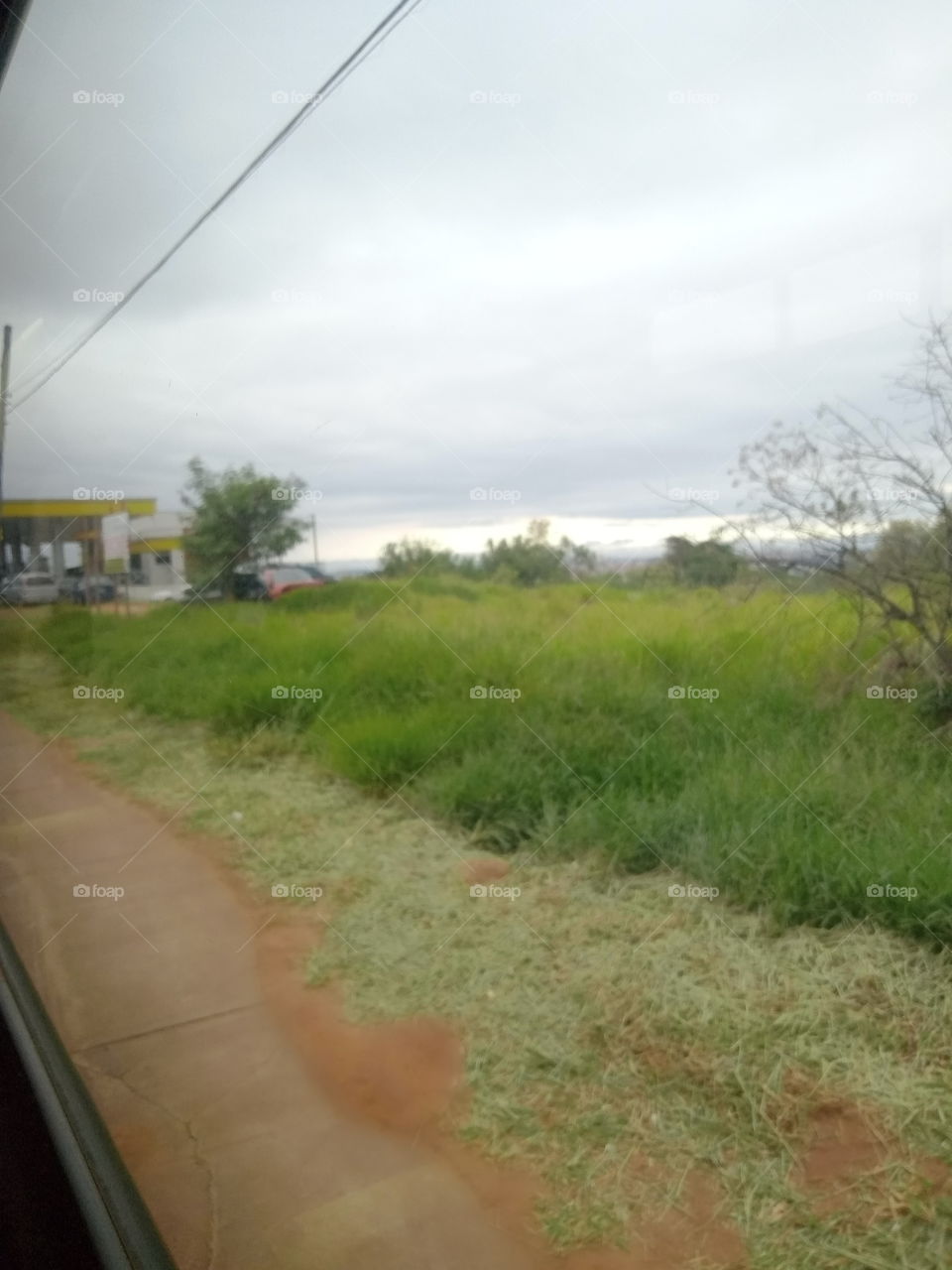 A beleza da natureza