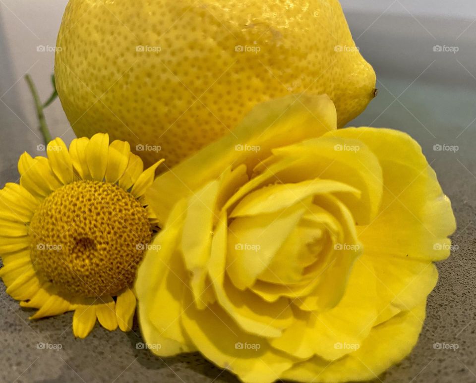 Yellow mix lemon begonia and daisy