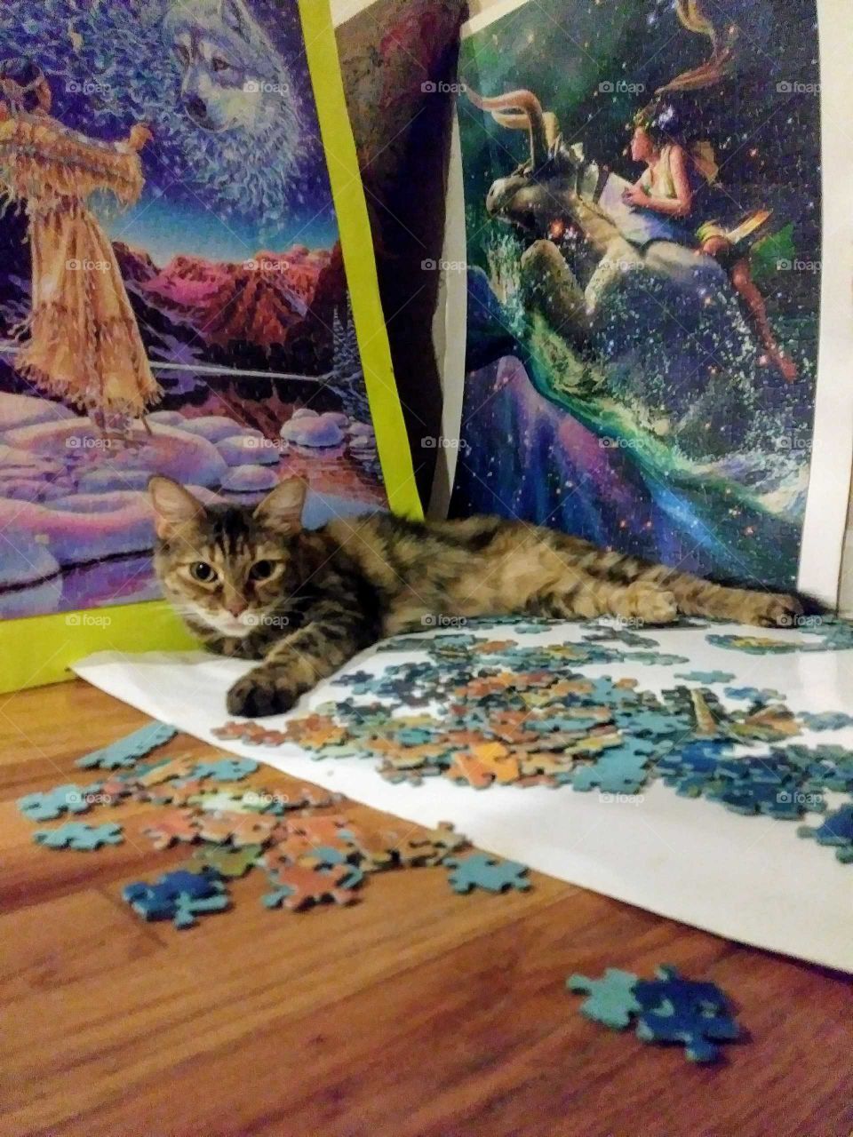 She's helping me with the puzzle