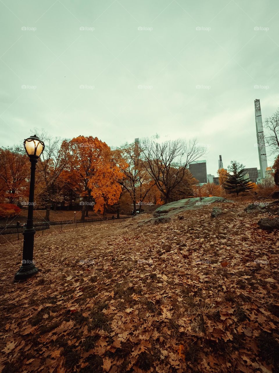 Fall at Central Park 