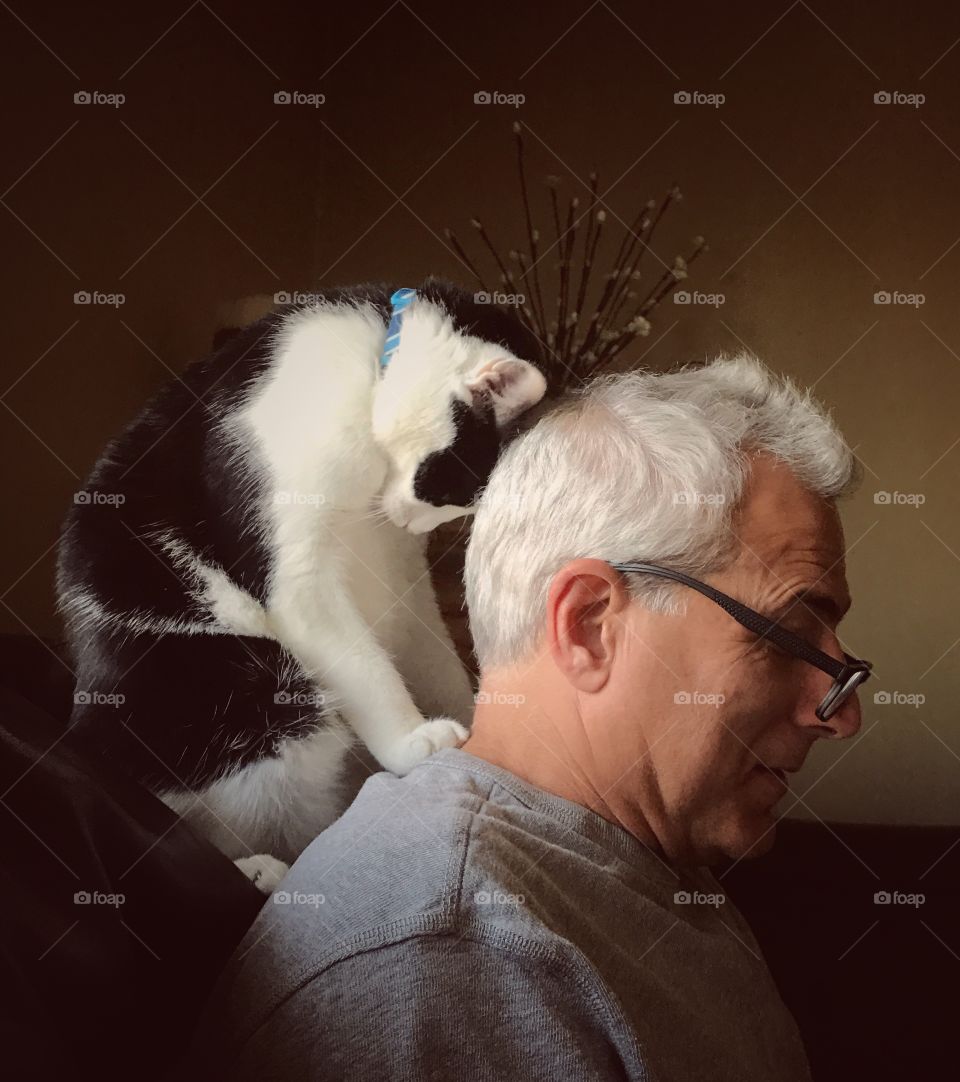 Cat on old man's shoulder