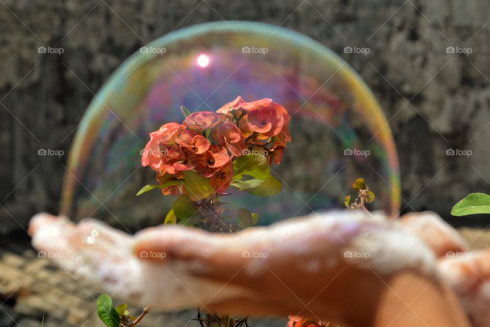 Bubbles