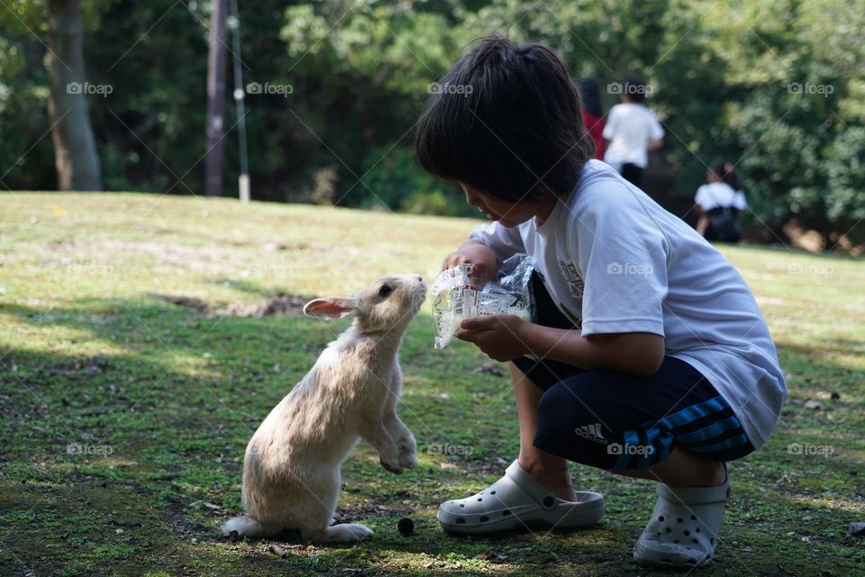 Feeding rabbit