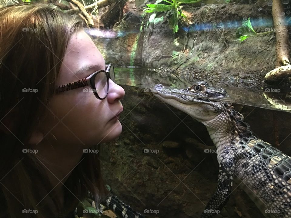 Staring contest at the aquarium with a baby alligator.