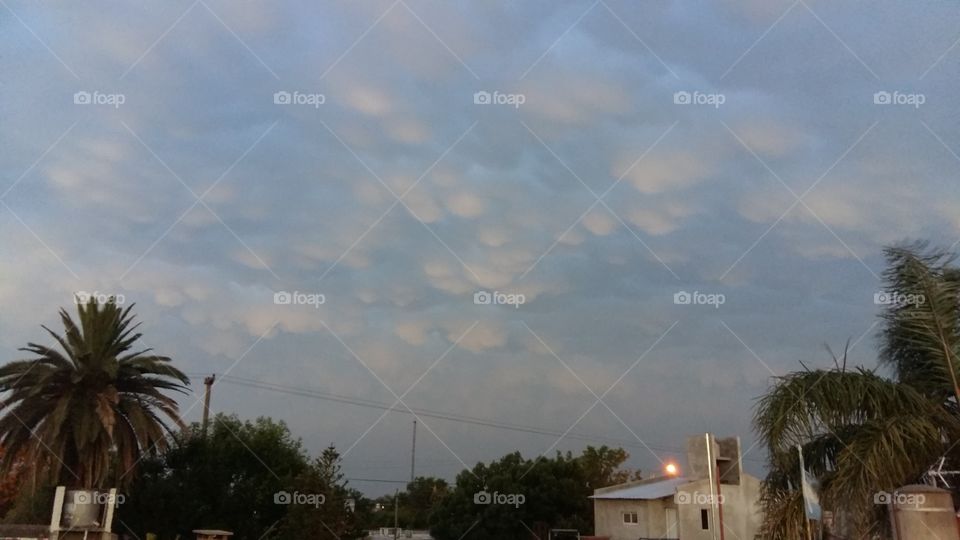 Tree, Sky, Landscape, No Person, Travel