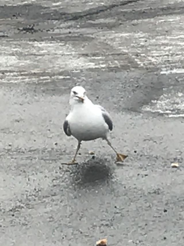 Get down