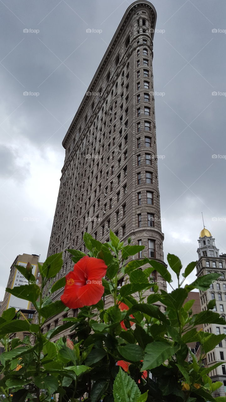 Flatiron Building