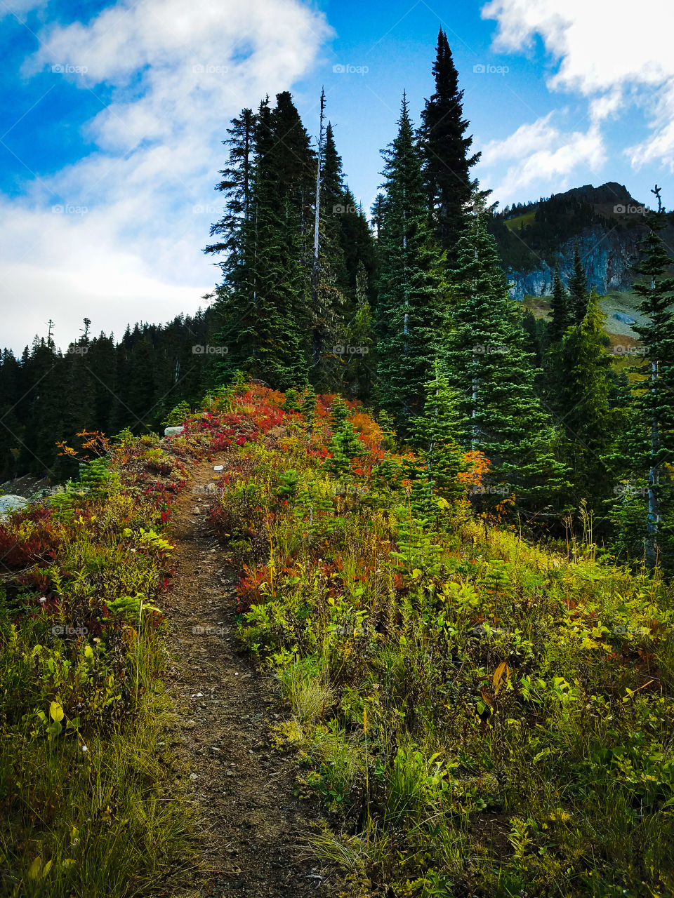 View of mountain during autumn