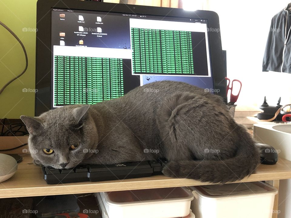 computer catker