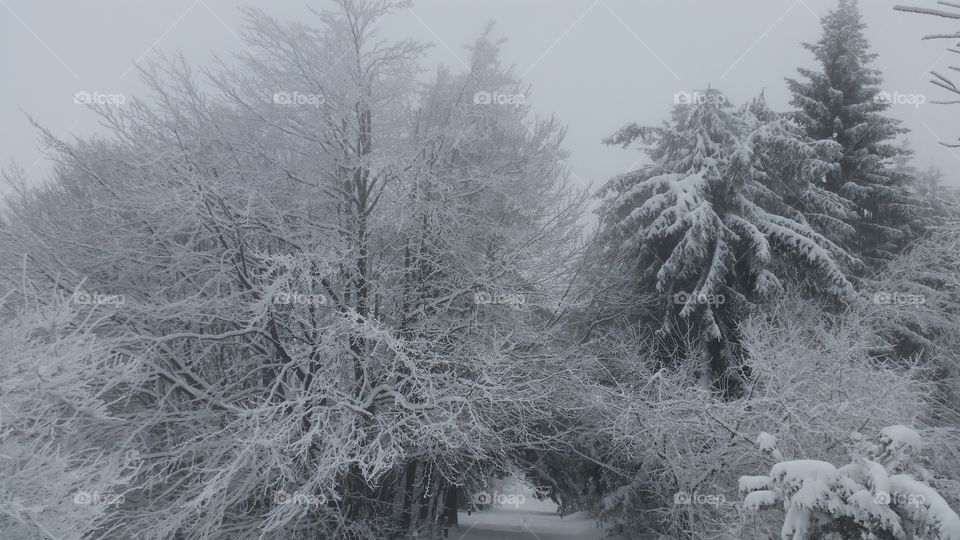 black and white . our climb was 1000 steps from the snow but it was just an uphill