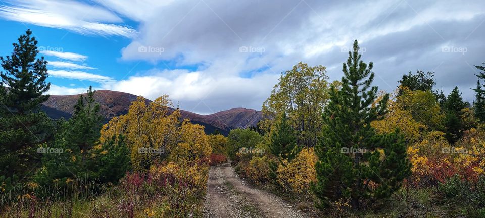 ATV trails on the mountain side