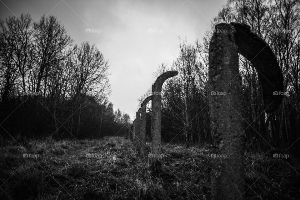 Old concret fence in the camp (WWII)