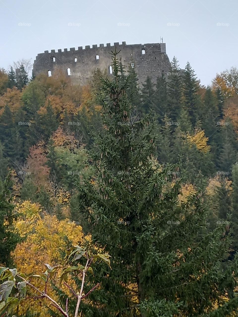 Medieval Castle Ruins in Bavaria