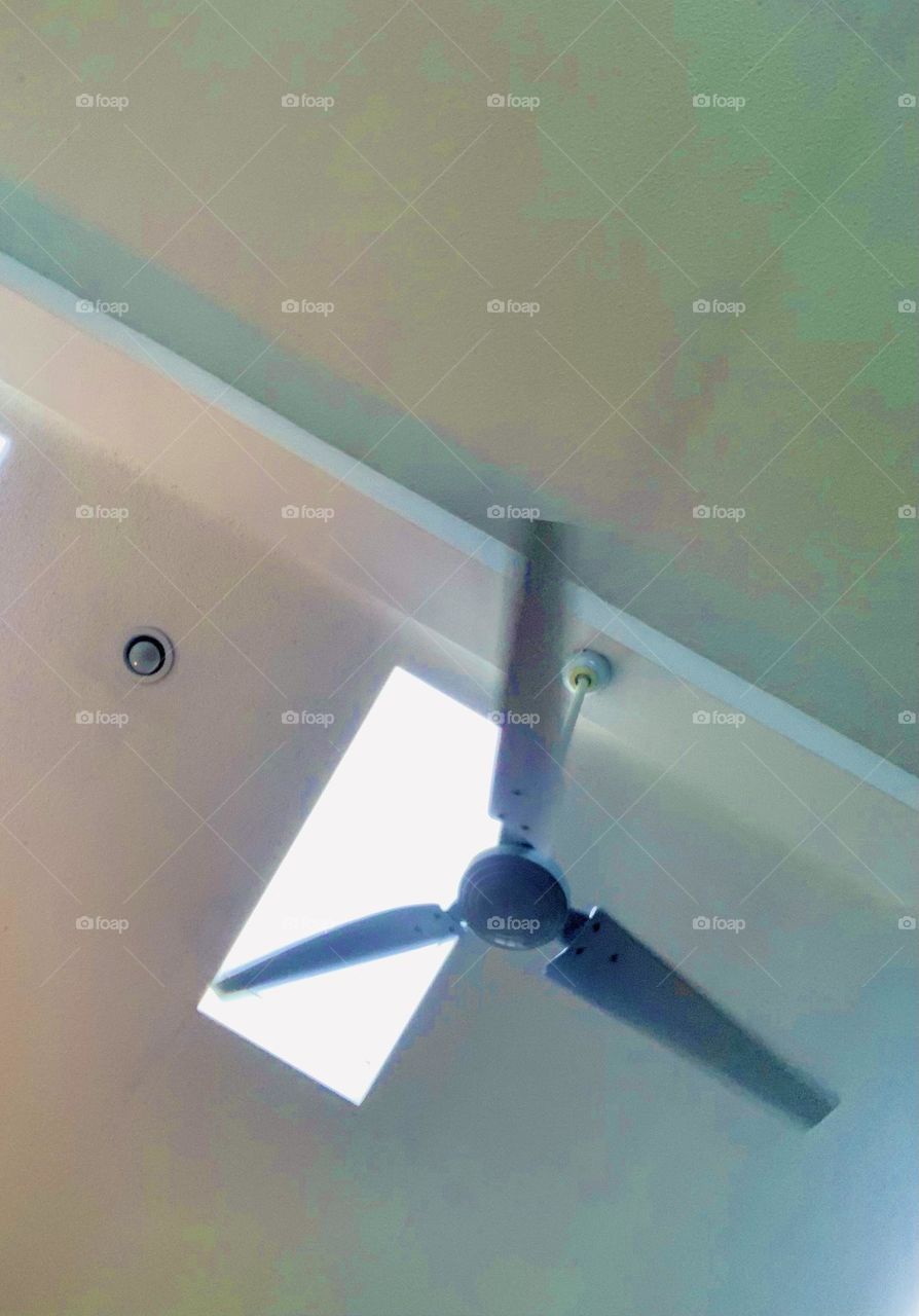 Ceiling fan 