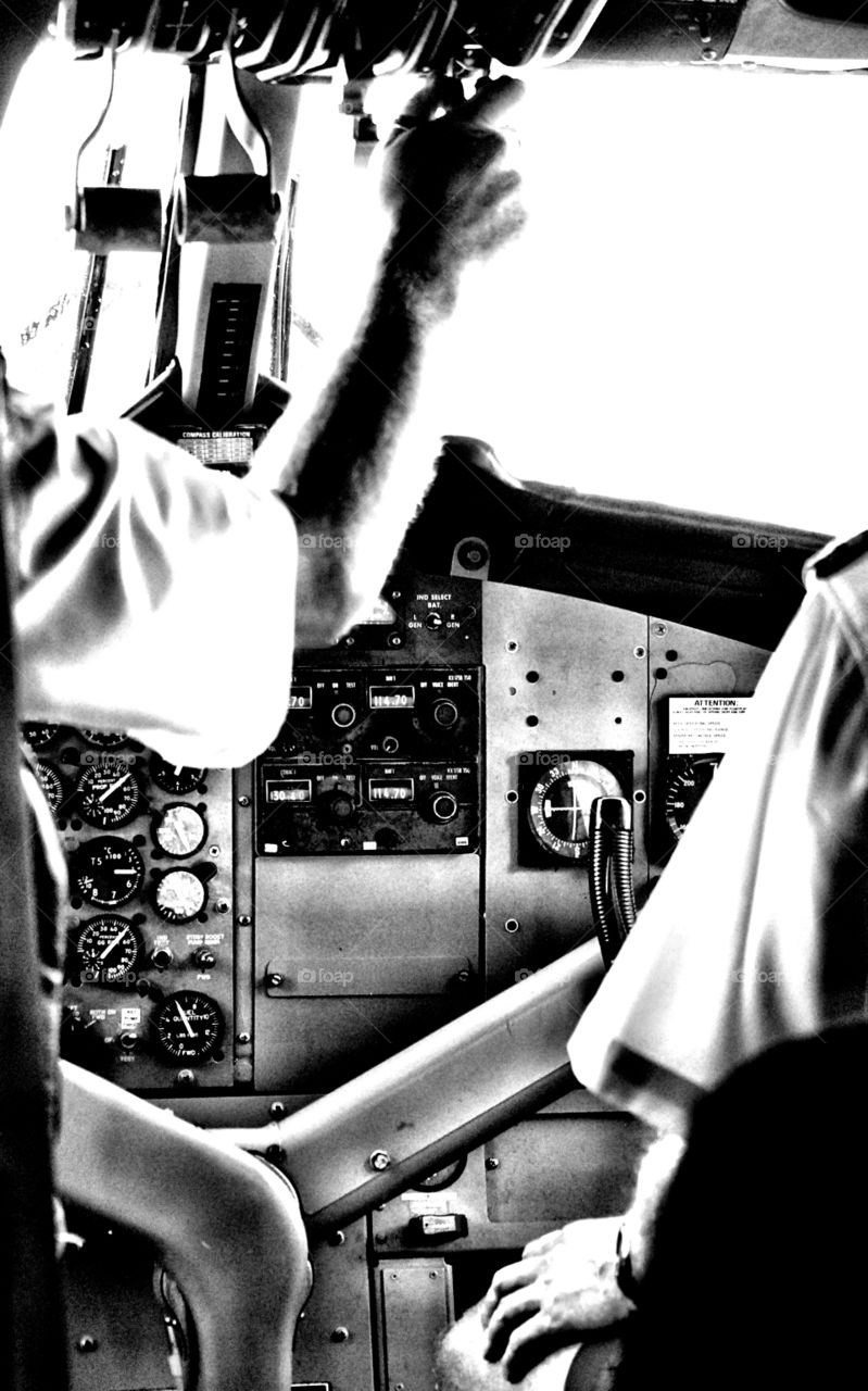 Taking us to paradise