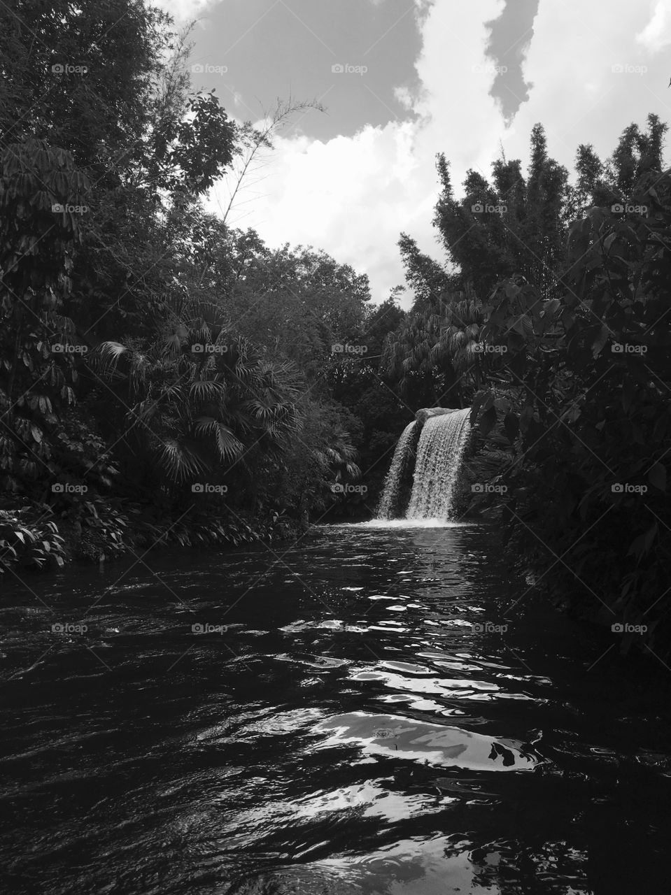 Disney World, Orlando 