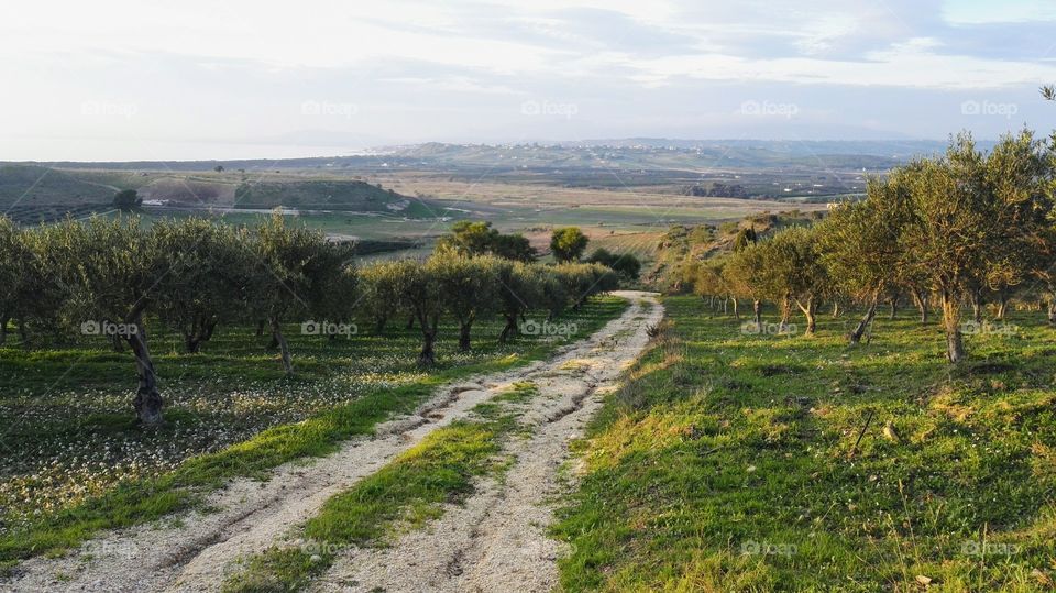 campagna