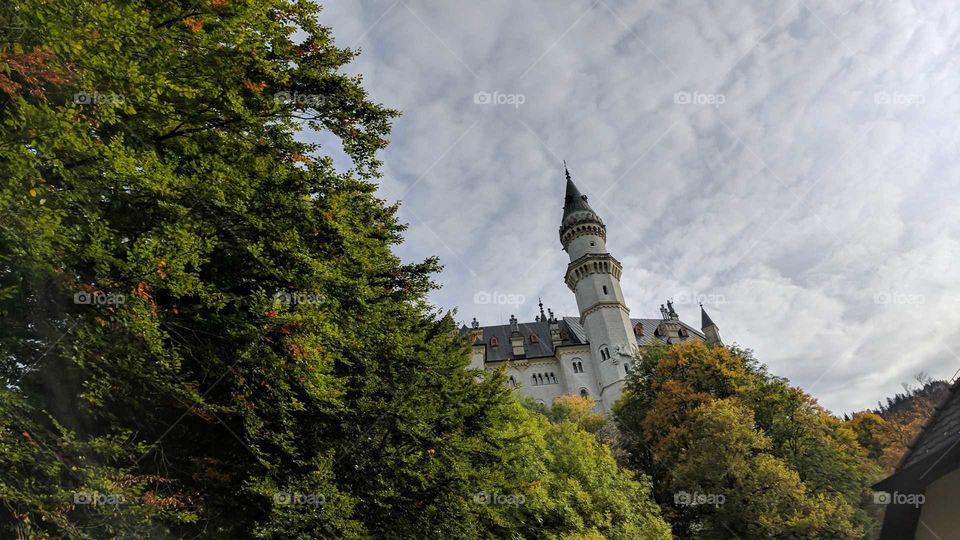 Beautiful Schloss Neuschwanstein and its Lush Scenery