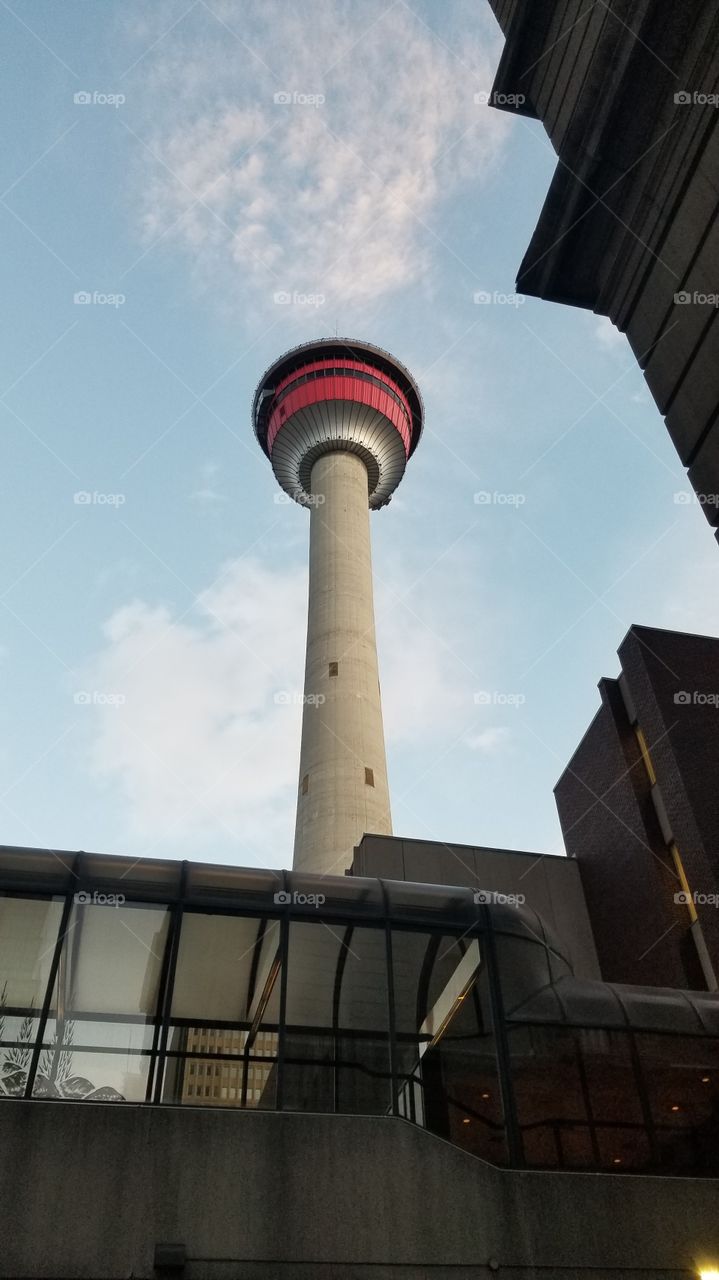 view looking up in downtown Calgary